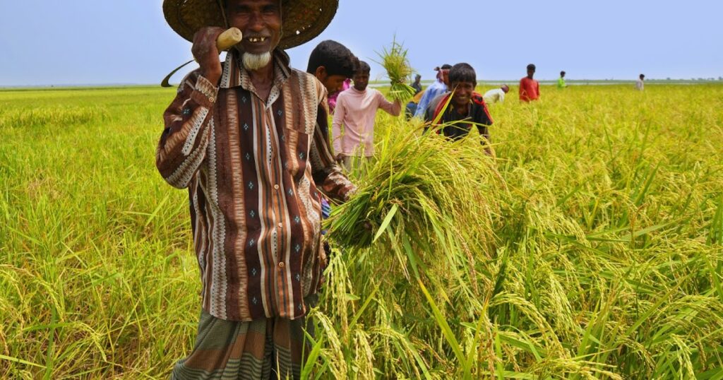 Summer Farming in Bihar