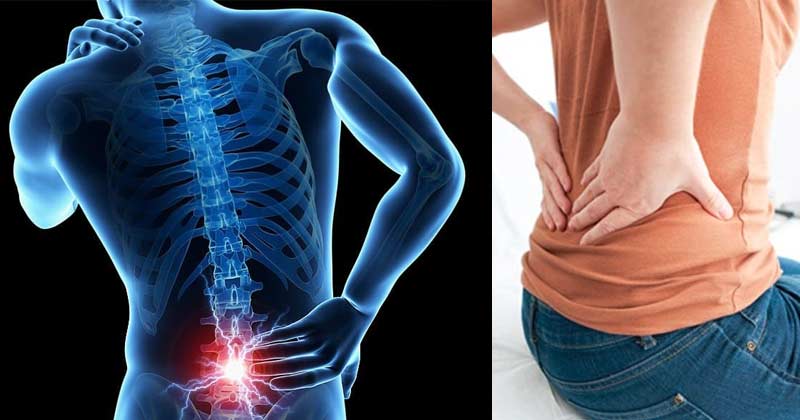 Back Pain: Office में काम करते समय परेशान करता, तो फॉलो करें ये टिप्स, जड़ से खत्म हो जाएगी समस्या