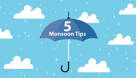 Monsoon Tips: जब आप पांच अद्भुत ट्रिक्स को अपनाते हैं, तो आप बरसात में घोड़े की फुर्ती का अनुभव करेंगे!