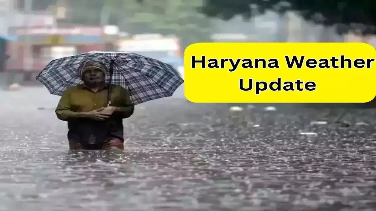 Haryana Weather Update: इन शहरों में आज बारिश का अलर्ट, जानिए आगे कैसा रहेगा मौसम