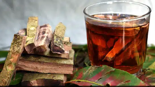 जाने कि अर्जुन की छाल को किन चीजों के साथ मिलाकर पीना चाहिए और इसका असली फायदा क्या है जाने कि अर्जुन की छाल को किन चीजों के साथ मिलाकर पीना चाहिए और इसका असली फायदा क्या है