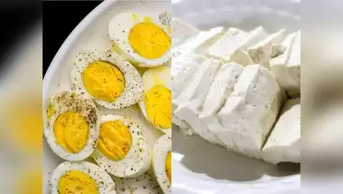 Egg vs Paneer: वसा कम करने के लिए कौन सा प्रोटीन बेहतर है? जानें स्वास्थ्य विशेषज्ञों की राय Egg vs Paneer: वसा कम करने के लिए कौन सा प्रोटीन बेहतर है? जानें स्वास्थ्य विशेषज्ञों की राय