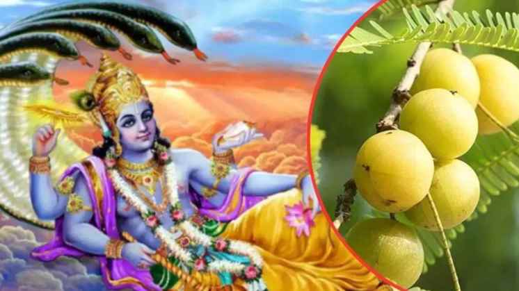 Amalaki Ekadashi 2025: अमलकी एकादशी कब होगी? जानें डेट, होली से पहले इस व्रत को करने से क्या फायदे हैं? Amalaki Ekadashi 2025: अमलकी एकादशी कब होगी? जानें डेट, होली से पहले इस व्रत को करने से क्या फायदे हैं?