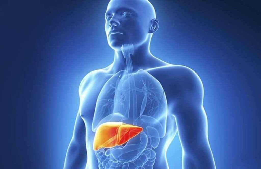 Health Tips: अगर आप भी फैटी लिवर के शिकार हैं, तो आज ही इन 10 चीजों को अपनी डाइट से बाहर कर दें। Health Tips: अगर आप भी फैटी लिवर के शिकार हैं, तो आज ही इन 10 चीजों को अपनी डाइट से बाहर कर दें।