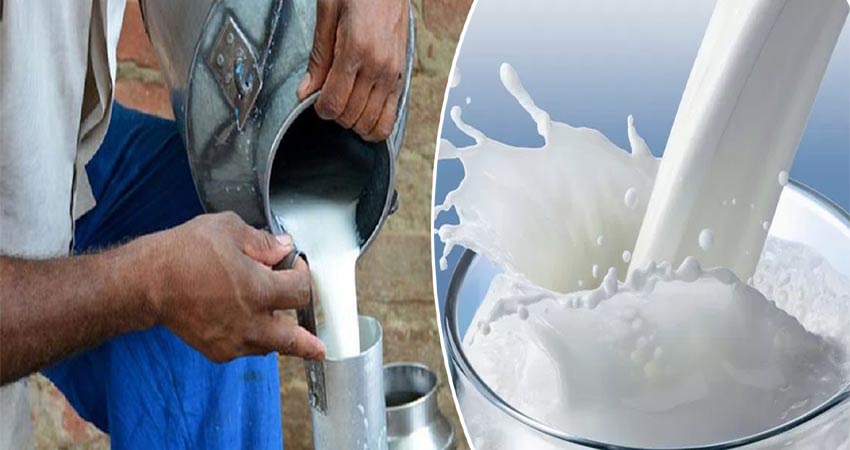 Karnataka Milk Price Hike: सरकार ने लिया फैसला, फिर बढ़ेगी दूध की कीमत, चुकाने होंगे इतने पैसे Karnataka Milk Price Hike: सरकार ने लिया फैसला, फिर बढ़ेगी दूध की कीमत, चुकाने होंगे इतने पैसे