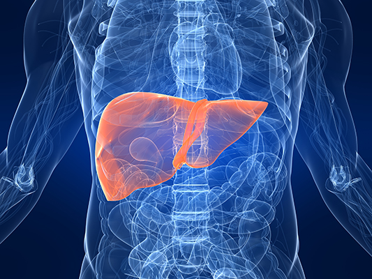 Signs of fatty liver: आप घर बैठे अपने फैटी लिवर की जांच कर सकते हैं, इससे आपकी सेहत घर बेठे पता चल जाएगा Signs of fatty liver: आप घर बैठे अपने फैटी लिवर की जांच कर सकते हैं, इससे आपकी सेहत घर बेठे पता चल जाएगा