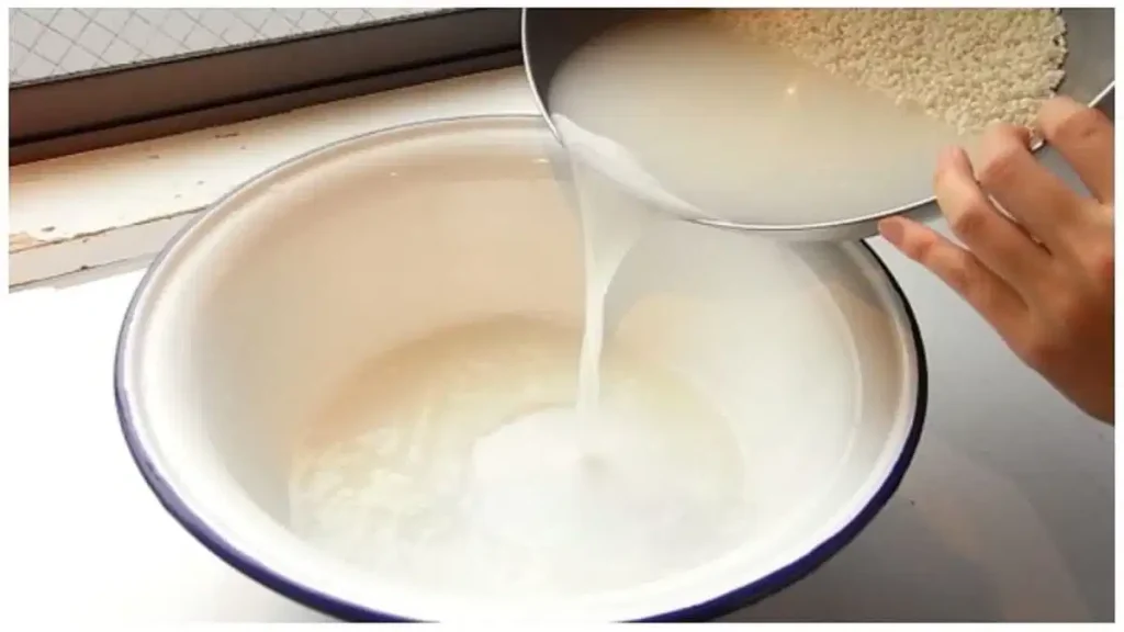 Rice Water Benefits: स्किन और बालों के लिए चावल के सफेद पानी के अद्भुत फायदे