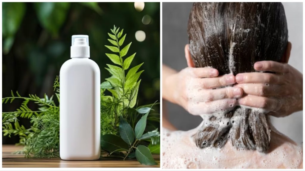 Homemade Shampoo Tricks: गर्मियों में बालों की देखभाल के लिए घर पर शैंपू बनाने के लिए इन टिप्स को अपनाएं