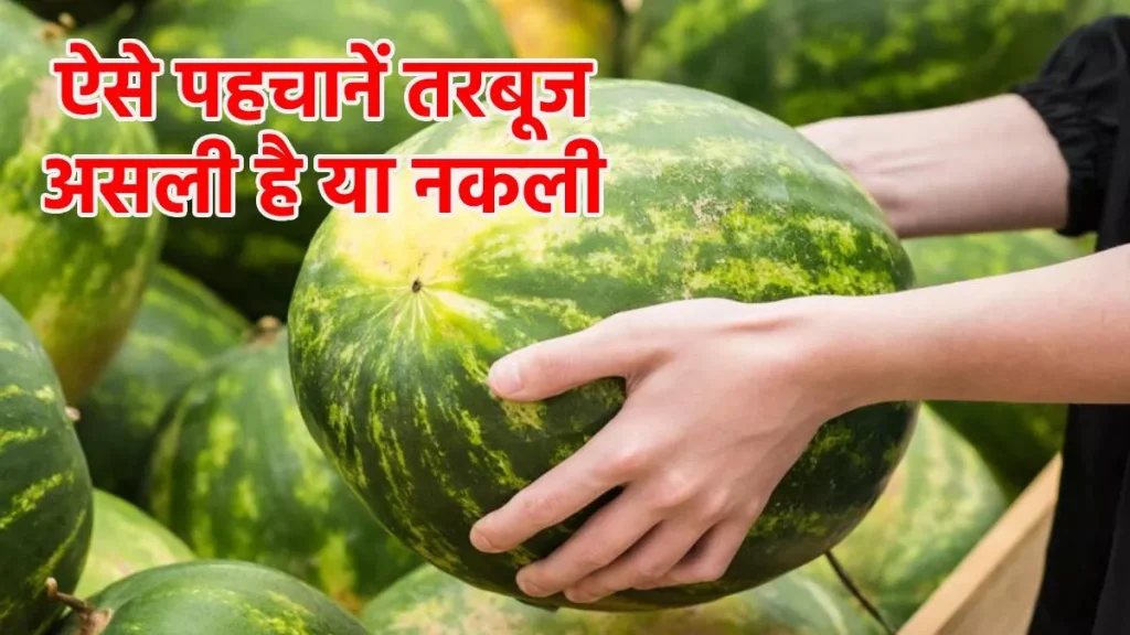 How To Check Fake Watermelon: तरबूज़ खा रहे हैं या जहर? गहरी मिठास में छुपा हुआ सेहत का खतरा, ऐसे पता करें