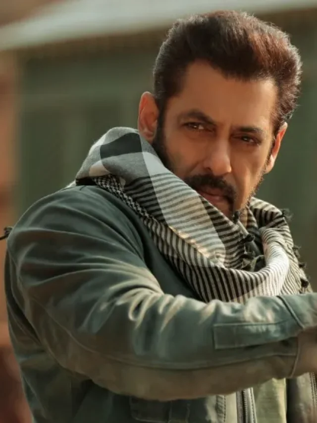 सलमान खान की अब तक की सबसे ज़्यादा कमाई करने वाली टॉप 10 फ़िल्मों की सूची