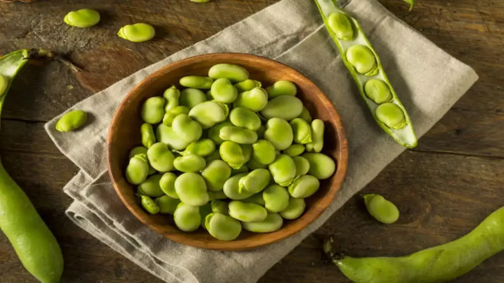 Fava Beans Benefits: अगर आप वजन कम करना चाहते हैं तो फावा बीन्स को अपनी डाइट में शामिल करें, इससे आपकी इम्युनिटी होगी मजबूत।