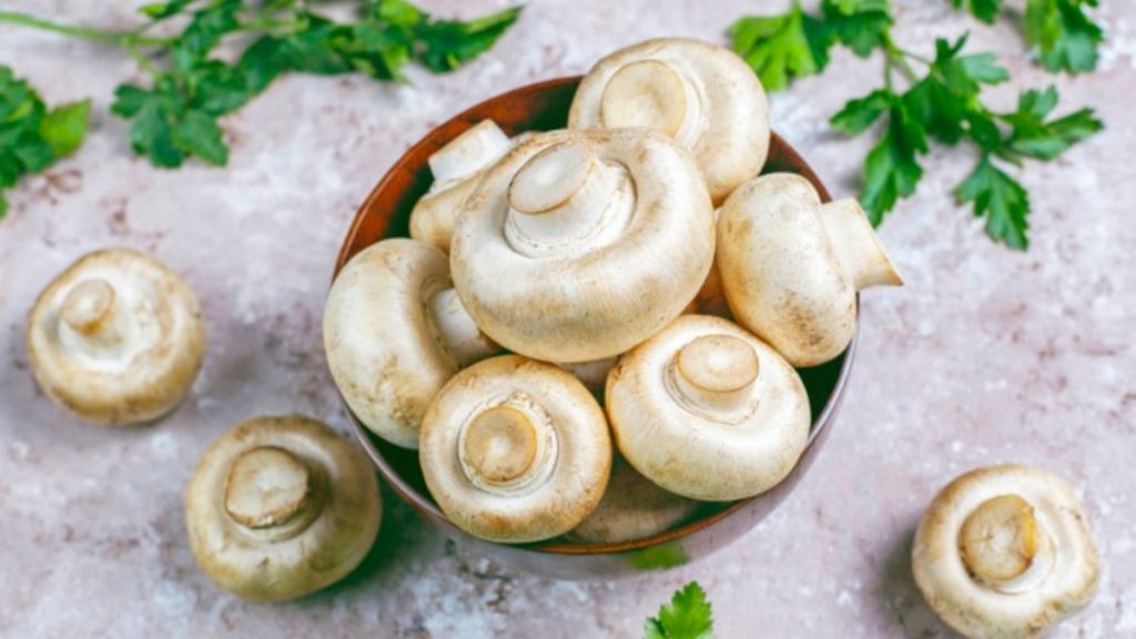 Mushroom for Health: खून बढ़ाने में कितनी कारगर है मशरूम की सब्जी, क्या-क्या मिलते हैं फायदे?