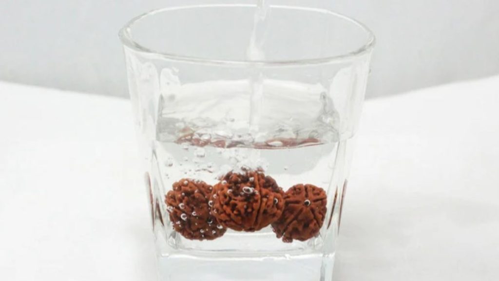 Rudraksh Water Benefits: सेहत के लिए वरदान है रुद्राक्ष का पानी, जानें कब और कैसे करें सेवन