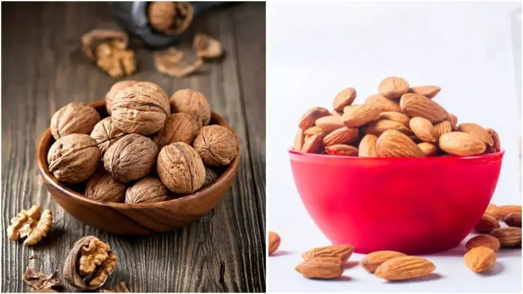 Brain Booster Nuts: ब्रेन हेल्थ के लिए सबसे असरदार ड्राई फ्रूट – बादाम या अखरोट कौन ज्यादा फायदेमंद?