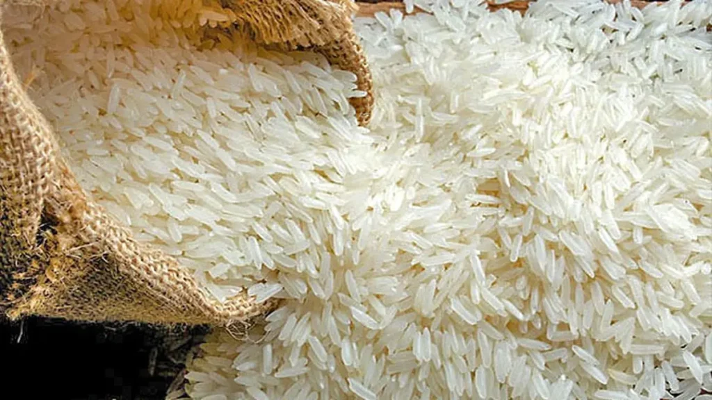 Basmati Rice Prices Decline: ईरान-इजरायल टकराव से बासमती चावल इंडस्ट्री पर संकट, भारत से निर्यात अटका, घरेलू बाजार में कीमतें गिरीं