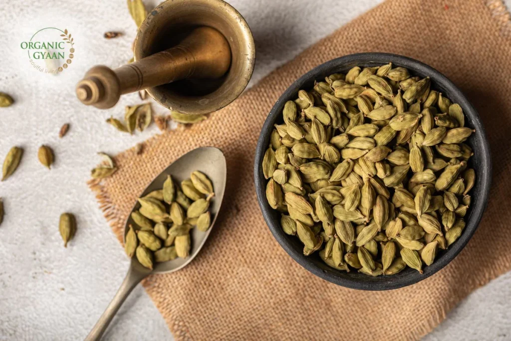 Cardamom Benefits: छोटी सी इलायची, बड़े फायदे: जानिए पाचन से लेकर दिल तक कैसे रखती है स्वस्थ