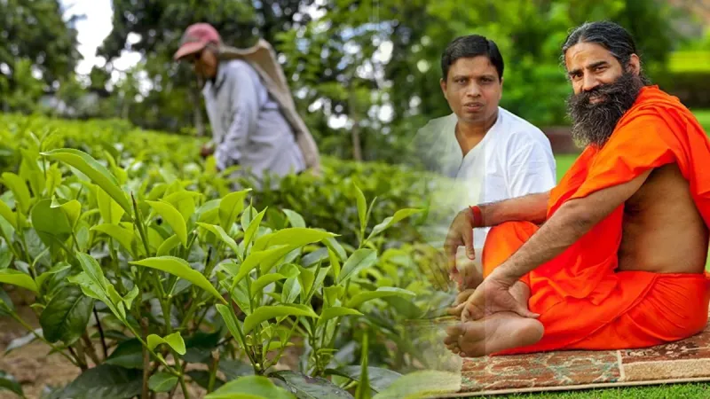 Patanjali Kisan Samriddhi Yojana: पतंजलि की जैविक तकनीक बनी किसानों की नई ताकत, बढ़ रही है आय और पर्यावरण भी हो रहा संरक्षित Patanjali Kisan Samriddhi Yojana: पतंजलि की जैविक तकनीक बनी किसानों की नई ताकत, बढ़ रही है आय और पर्यावरण भी हो रहा संरक्षित
