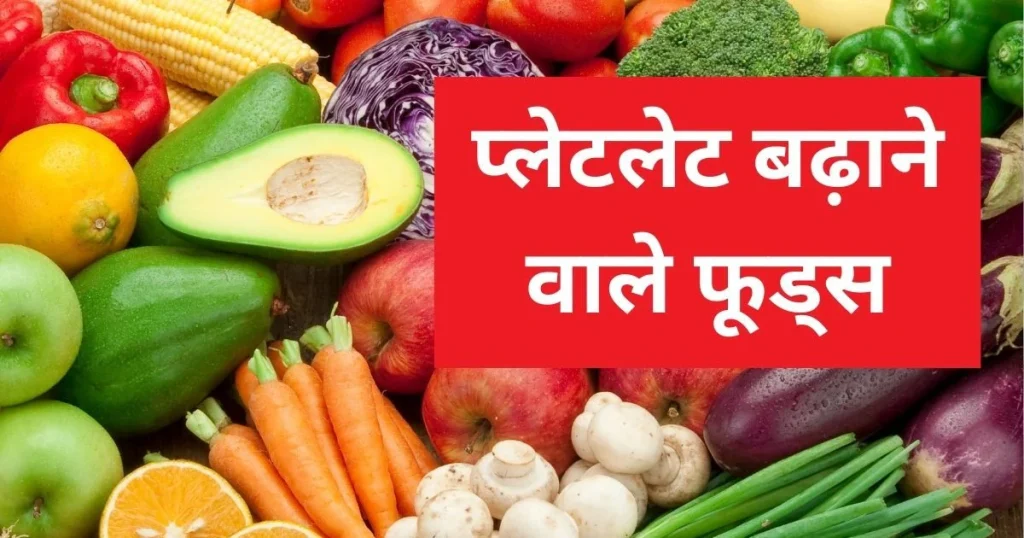 Platelet Count Increase Naturally: घर पर प्लेटलेट्स बढ़ाने के आसान और असरदार उपाय Platelet Count Increase Naturally: घर पर प्लेटलेट्स बढ़ाने के आसान और असरदार उपाय