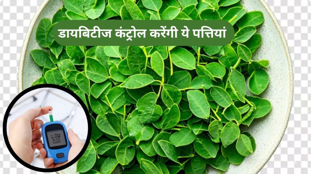 Green Leaves For Diabetes Control: डायबिटीज कंट्रोल के लिए वरदान हैं ये हरी पत्तियां, जानें कैसे करती हैं ब्लड शुगर नियंत्रण
