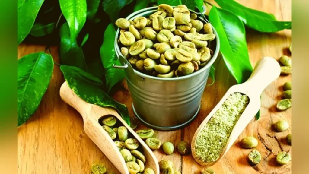 Green Coffee Benefits: वजन घटाने से लेकर दिल और दिमाग को स्वस्थ रखने तक, ग्रीन कॉफी के हैं जबरदस्त फायदे