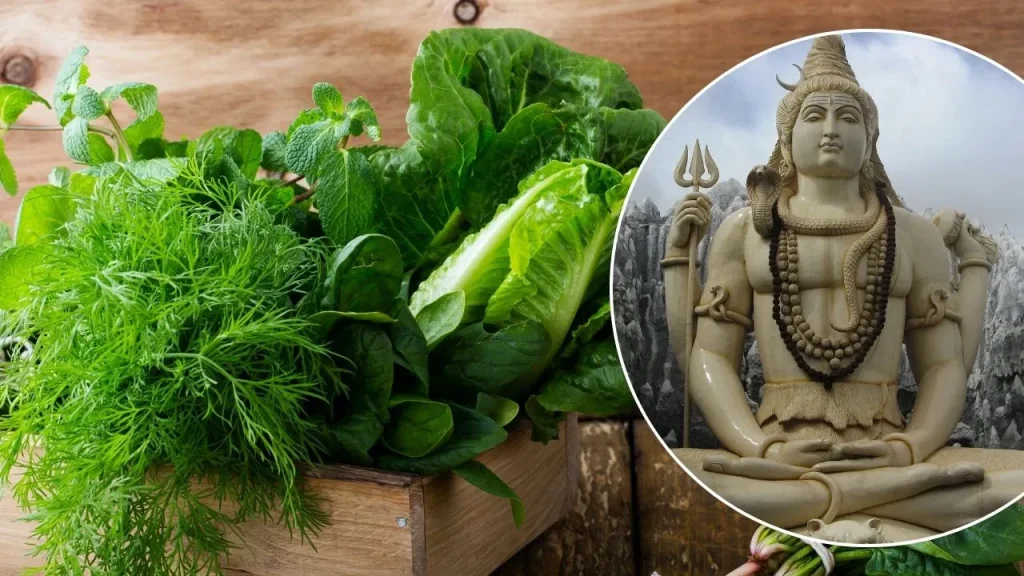 Sawan 2025: जानिए क्यों सावन के महीने में वर्जित है दूध और साग का सेवन, जानें धार्मिक और वैज्ञानिक कारण Sawan 2025: जानिए क्यों सावन के महीने में वर्जित है दूध और साग का सेवन, जानें धार्मिक और वैज्ञानिक कारण