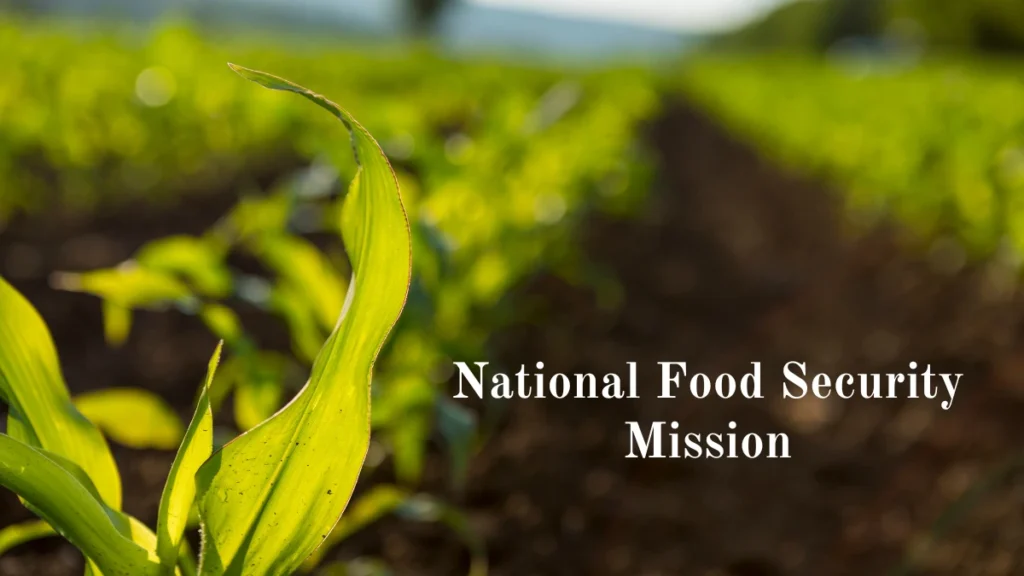 राष्ट्रीय खाद्य सुरक्षा एवं पोषण मिशन के तहत हरियाणा सरकार दे रही किसानों को अनुदान, 7 जिलों में जौ और 8 जिलों में गेहूं पर विशेष फोकस