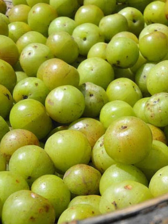 विटामिन C से भरपूर सुपरफूड: पाचन, बाल, त्वचा और हड्डियों के लिए बेहतरीन