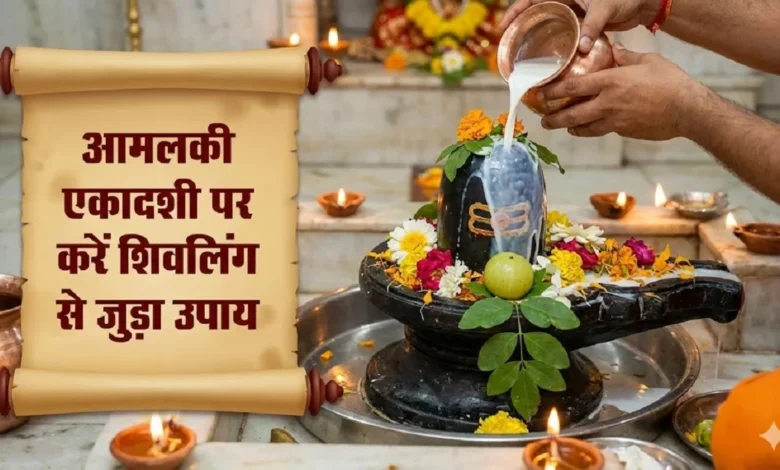 आमलकी एकादशी 2026: शिव और विष्णु की कृपा पाने का दुर्लभ संयोग, इन उपायों से संवर सकती है किस्मत आमलकी एकादशी 2026: शिव और विष्णु की कृपा पाने का दुर्लभ संयोग, इन उपायों से संवर सकती है किस्मत