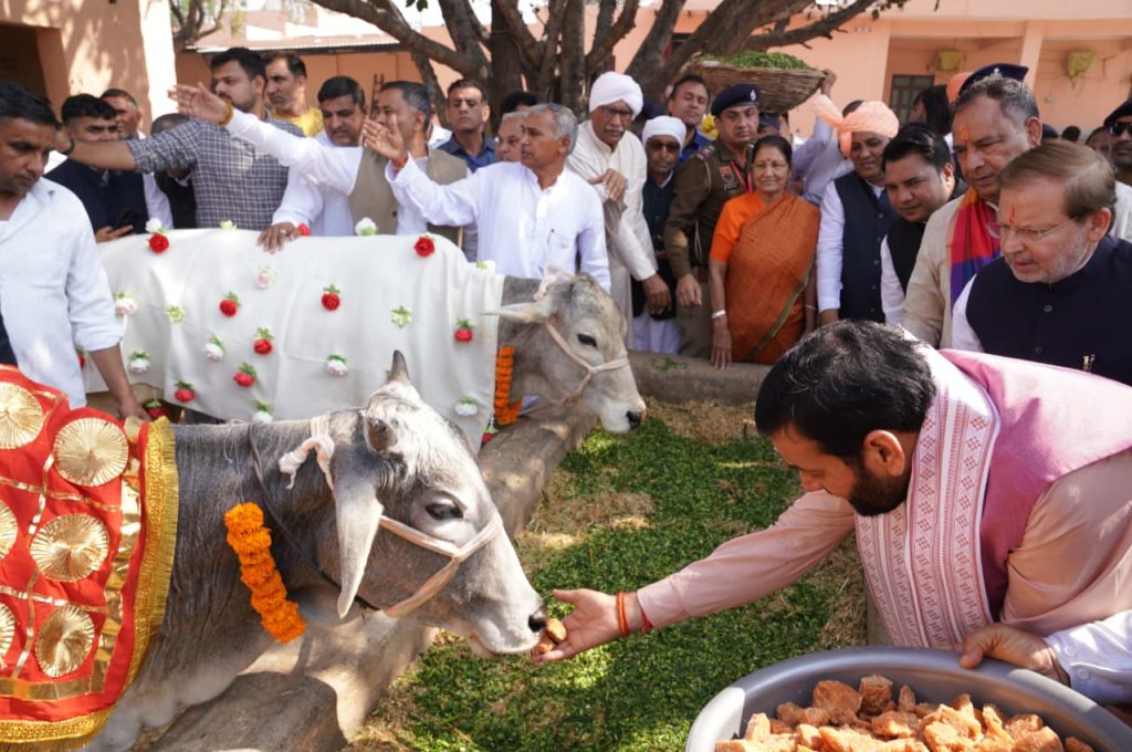 भटगांव से गौसंवर्धन को बड़ी सौगात: CM नायब सैनी ने 602 गौशालाओं को ₹68.34 करोड़ जारी, कुल अनुदान ₹525.75 करोड़ पार