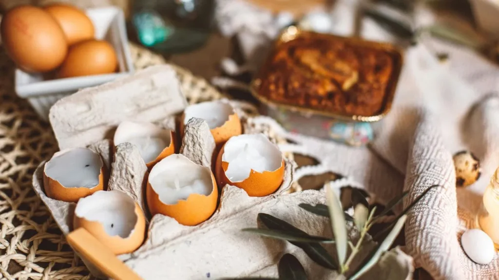 Eggshells Reuse Tips: अंडे के छिलकों को न समझें बेकार, घर और गार्डनिंग में ऐसे करें स्मार्ट इस्तेमाल