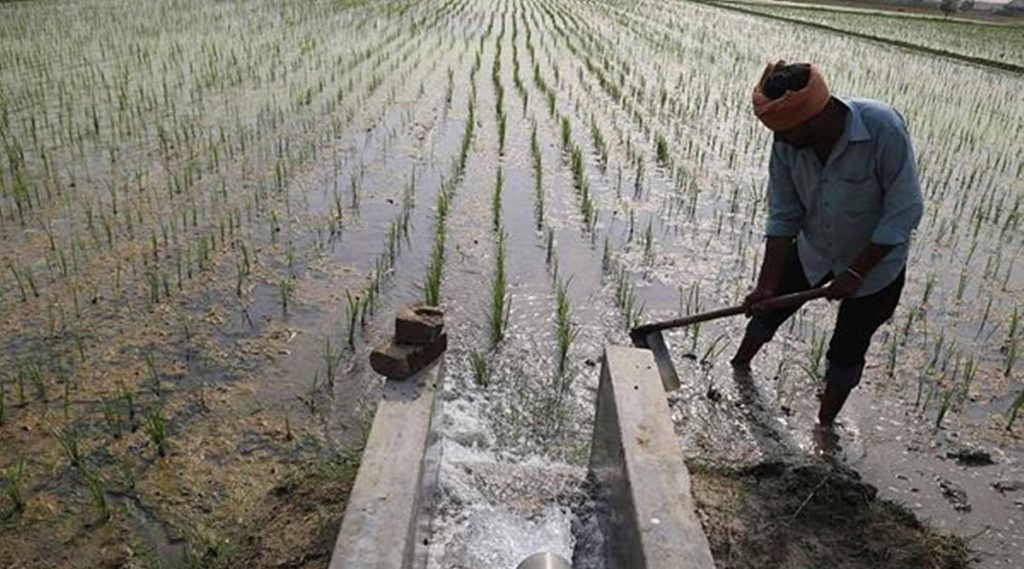 हरियाणा में बागवानी बीमा योजना को बढ़ावा: किसानों को बढ़ा मुआवजा, मधुमक्खी पालक भी शामिल