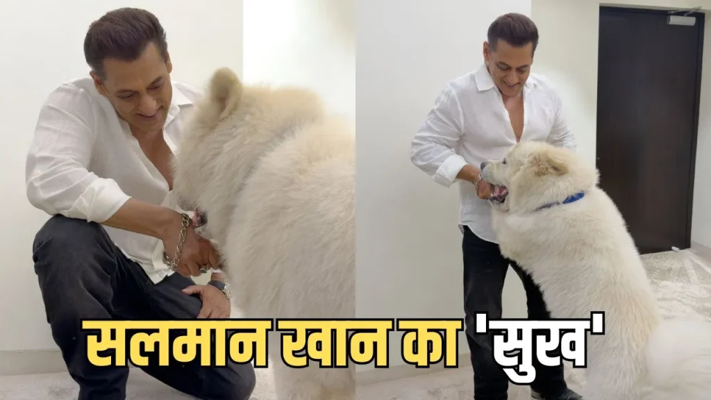 सलमान खान ने पेट डॉग संग शेयर की खास तस्वीरें, ‘मेरा सुख’ कैप्शन ने जीता फैंस का दिल