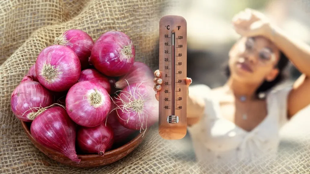 Heatstroke Myth: जेब में प्याज रखने से नहीं बचती लू, एक्सपर्ट ने बताया सच और सही उपाय