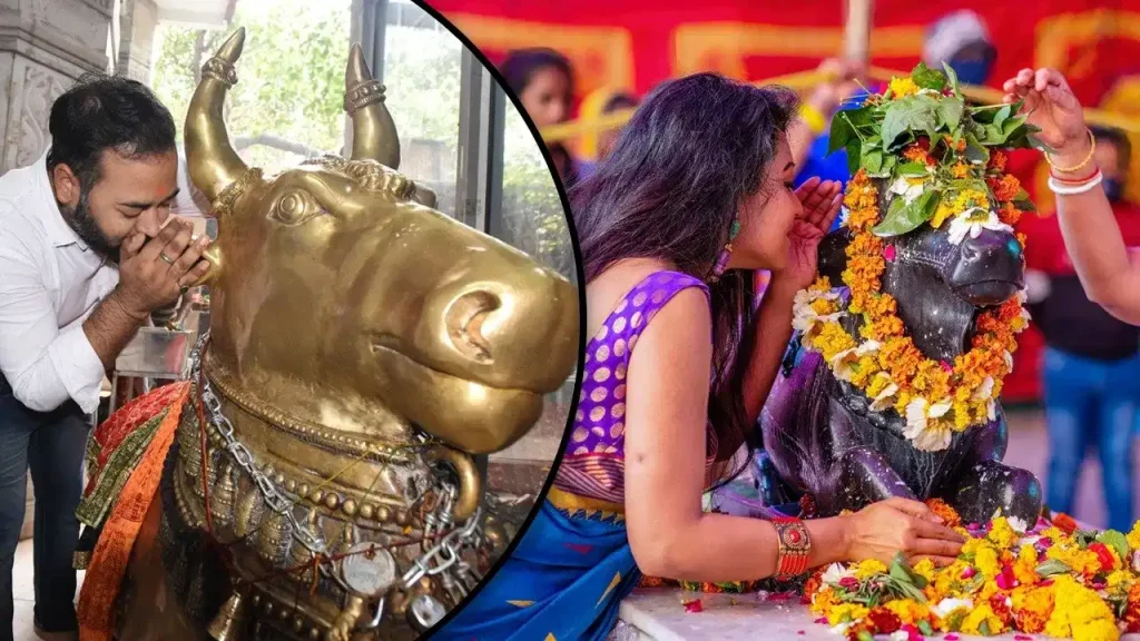 Sawan 2026: नंदी महाराज के कान में क्यों बोली जाती है मनोकामना? जानें शिव भक्ति से जुड़ी मान्यता और सही विधि