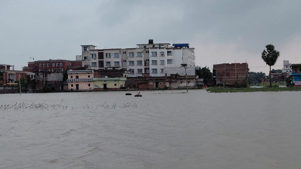 Fatuha-Daniyawan Flood: फतुहा-दनियावां में नदियों का जलस्तर बढ़ा, गांवों में घुसा पानी; सैकड़ों एकड़ धान की फसल प्रभावित Fatuha-Daniyawan Flood: फतुहा-दनियावां में नदियों का जलस्तर बढ़ा, गांवों में घुसा पानी; सैकड़ों एकड़ धान की फसल प्रभावित