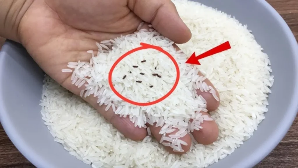 Rice Storage Tips: चावल में नहीं पड़ेंगे घुन और कीड़े, मानसून में लंबे समय तक स्टोर करने के अपनाएं ये आसान टिप्स