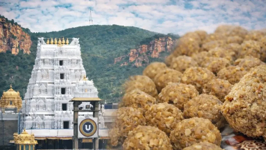 Tirupati Ghee Case: कैलाश चंद मंगला गिरफ्तार, जानिए तिरुपति मंदिर के घी मामले में ED का बड़ा दावा Tirupati Ghee Case: कैलाश चंद मंगला गिरफ्तार, जानिए तिरुपति मंदिर के घी मामले में ED का बड़ा दावा