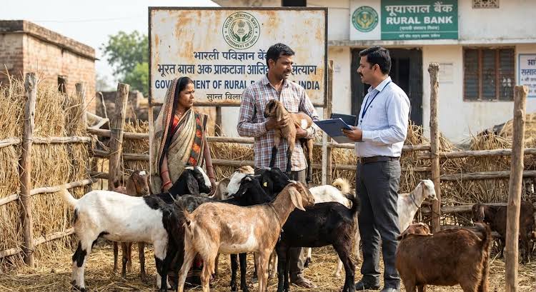 कृषक बकरी पालन योजना 2026: किसानों को बकरी पालन पर 60% सब्सिडी, जानें पात्रता और आवेदन प्रक्रिया कृषक बकरी पालन योजना 2026: किसानों को बकरी पालन पर 60% सब्सिडी, जानें पात्रता और आवेदन प्रक्रिया