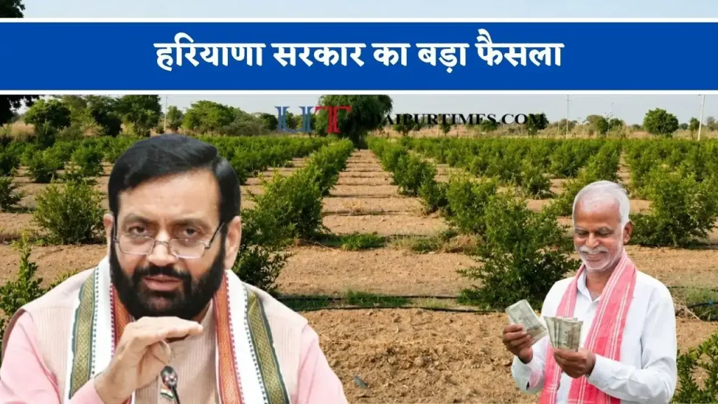 हरियाणा के किसानों की बढ़ेगी कमाई! फल, सब्जी, फूल और मसालों की खेती पर मिलेगी सब्सिडी, जानें पूरी योजना