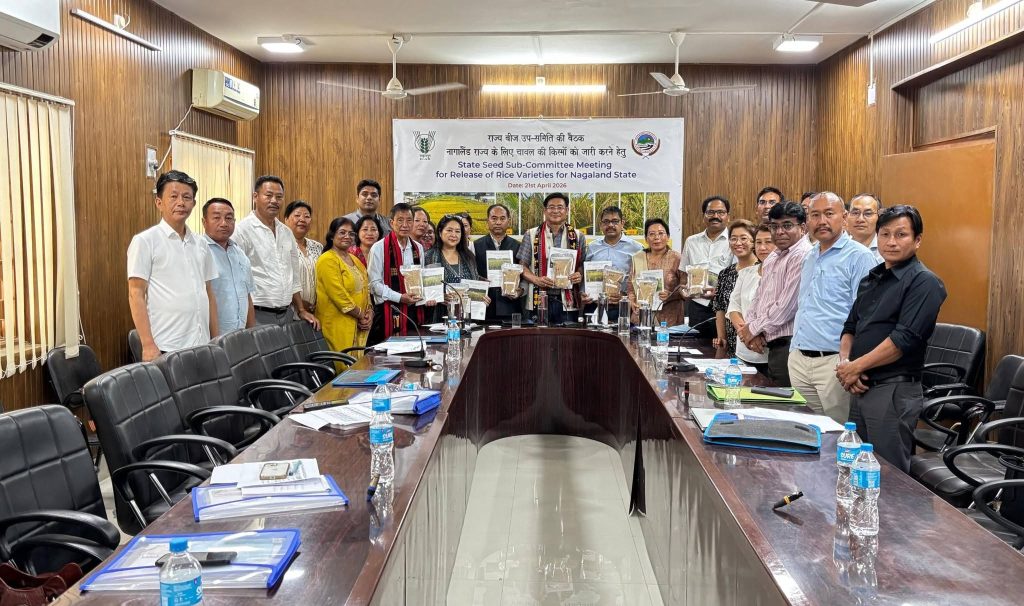 ICAR की बड़ी उपलब्धि: धान की 7 नई किस्में विकसित, 120 दिन में फसल तैयार और 7 टन प्रति हेक्टेयर तक उपज