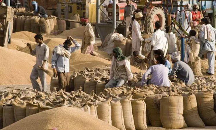 ICAR और FCI की नई पहल: अनाज के भंडारण में कीटों पर लगेगी लगाम, इन तकनीकों का होगा परीक्षण ICAR और FCI की नई पहल: अनाज के भंडारण में कीटों पर लगेगी लगाम, इन तकनीकों का होगा परीक्षण