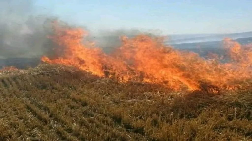 इंदौर में नरवाई जलाने पर लगेगा ₹15,000 तक जुर्माना, किसानों को बताए जाएंगे फसल अवशेष प्रबंधन के तरीके