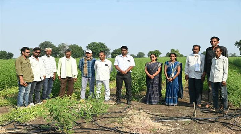 औषधीय फसलों की खेती से आत्मनिर्भर बन रहीं ग्रामीण महिलाएं, कृषि नमामि आजीविका FPO की अनूठी पहल औषधीय फसलों की खेती से आत्मनिर्भर बन रहीं ग्रामीण महिलाएं, कृषि नमामि आजीविका FPO की अनूठी पहल