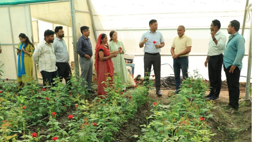 कलेक्टर डॉ. योगेश भरसट ने खेतों और पॉलीहाउस का किया निरीक्षण, आधुनिक खेती को बढ़ावा देने के निर्देश