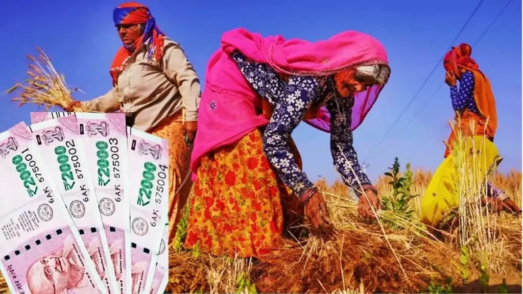 किसानों की मासिक आय: किसानों की सबसे ज्यादा कमाई किस राज्य में होती है? जानें पंजाब, हरियाणा, यूपी और बिहार का हाल