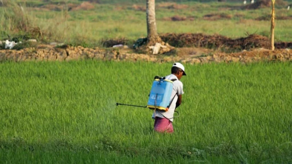 किसानों के लिए काम की मशीन, ₹3,000 में मिलेगी बैटरी स्प्रे मशीन, सब्सिडी पर कीमत हो सकती है ₹1,500 किसानों के लिए काम की मशीन, ₹3,000 में मिलेगी बैटरी स्प्रे मशीन, सब्सिडी पर कीमत हो सकती है ₹1,500