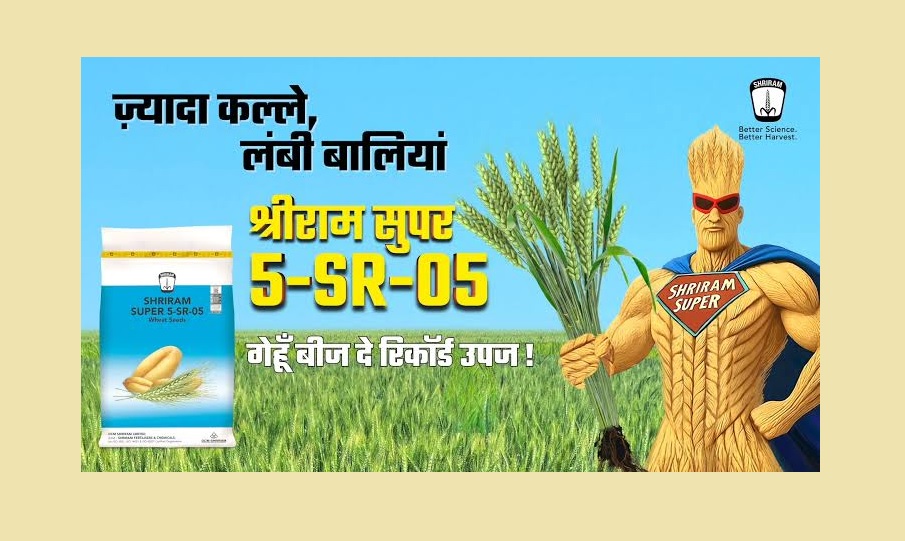 गेहूं की बुवाई में कौन-सा बीज है फायदेमंद? घर के बीज और प्रमाणित बीज की लागत व कमाई का पूरा हिसाब गेहूं की बुवाई में कौन-सा बीज है फायदेमंद? घर के बीज और प्रमाणित बीज की लागत व कमाई का पूरा हिसाब
