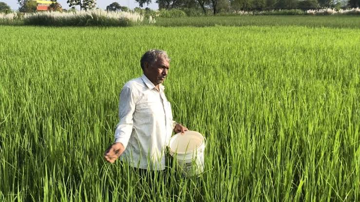 चित्रकूट में प्राकृतिक खेती से किसानों को फायदा, सालाना 5 लाख रुपये तक मुनाफा चित्रकूट में प्राकृतिक खेती से किसानों को फायदा, सालाना 5 लाख रुपये तक मुनाफा