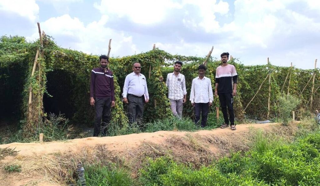 छिंदवाड़ा के गुरैया जैविक हाट में किसानों को मिल रहा अच्छा बाजार, एक घंटे में बिक रही ताजी सब्जियां छिंदवाड़ा के गुरैया जैविक हाट में किसानों को मिल रहा अच्छा बाजार, एक घंटे में बिक रही ताजी सब्जियां