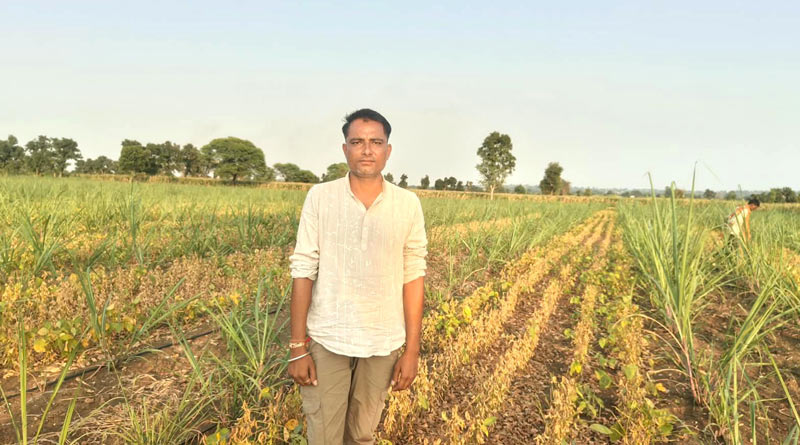 छिंदवाड़ा के किसान दुर्गेश का नवाचार, गन्ने के साथ सोयाबीन उगाकर लिया 6 क्विंटल उत्पादन छिंदवाड़ा के किसान दुर्गेश का नवाचार, गन्ने के साथ सोयाबीन उगाकर लिया 6 क्विंटल उत्पादन
